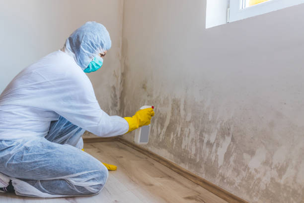 Licensed Mold Inspection service in Roswell, GA - WQB Mold Removal
