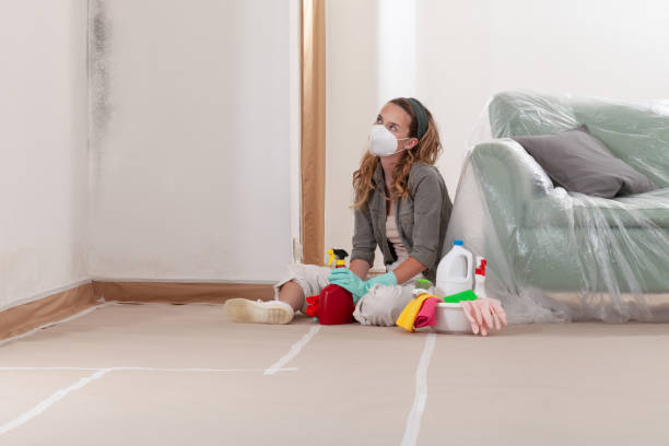 Reliable Mold Inspection contractor in Roswell, GA by WQB Mold Removal